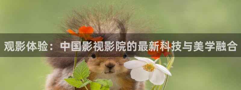 新视觉印刷
