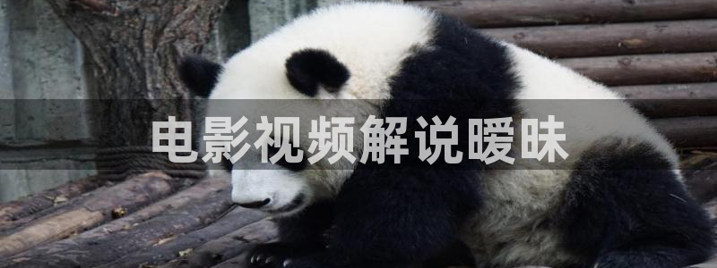 6080新视觉影院免费