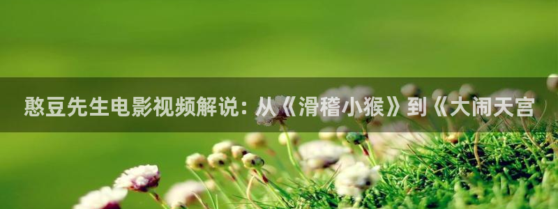奇领新视觉