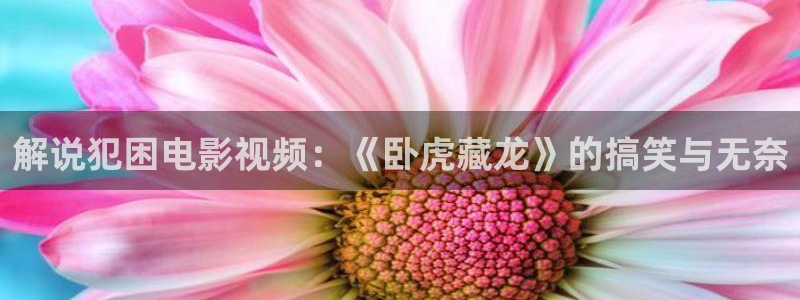 新视觉6080官网
