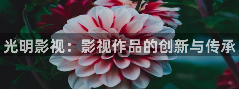 新视觉yy4808