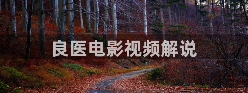 艳母新视觉