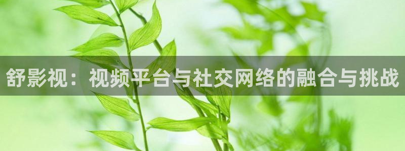 6090新视觉电视影院电视剧