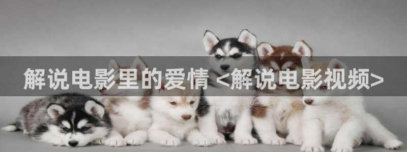 新视觉6080三级