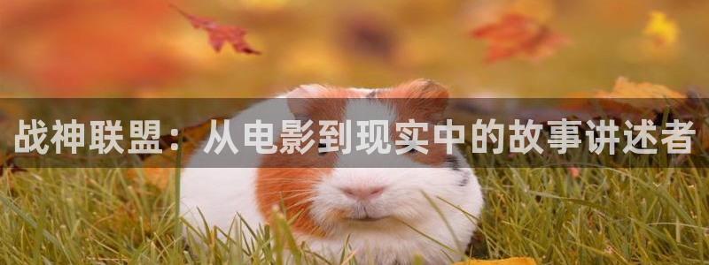 湖州新视觉影城