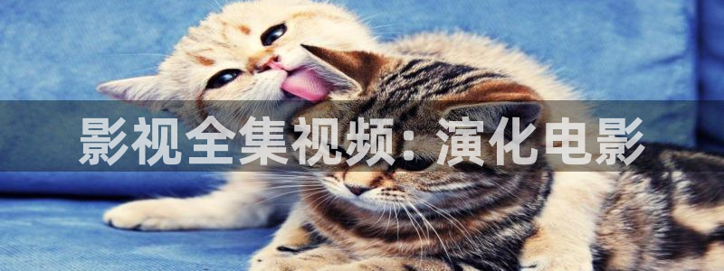 新视觉影院我不卡