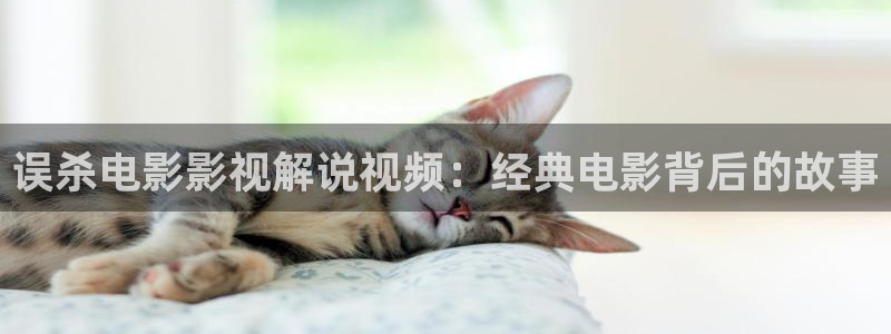 未来新视觉飘零